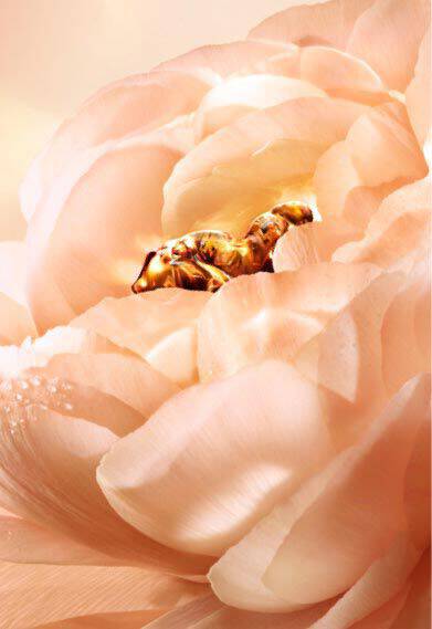 Lancome The Perpetual Rose Image