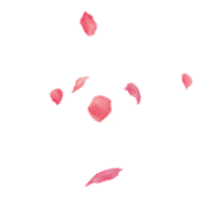 Petals