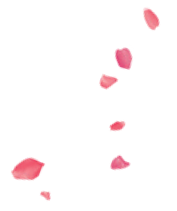 Petals